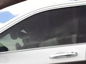 在各種姿勢